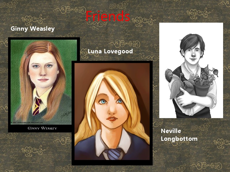Friends Ginny Weasley  Luna Lovegood Neville Longbottom
